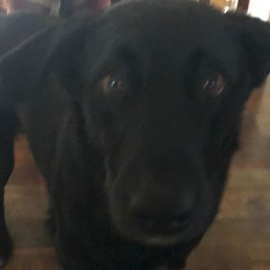 Meet your Posher, Wendy